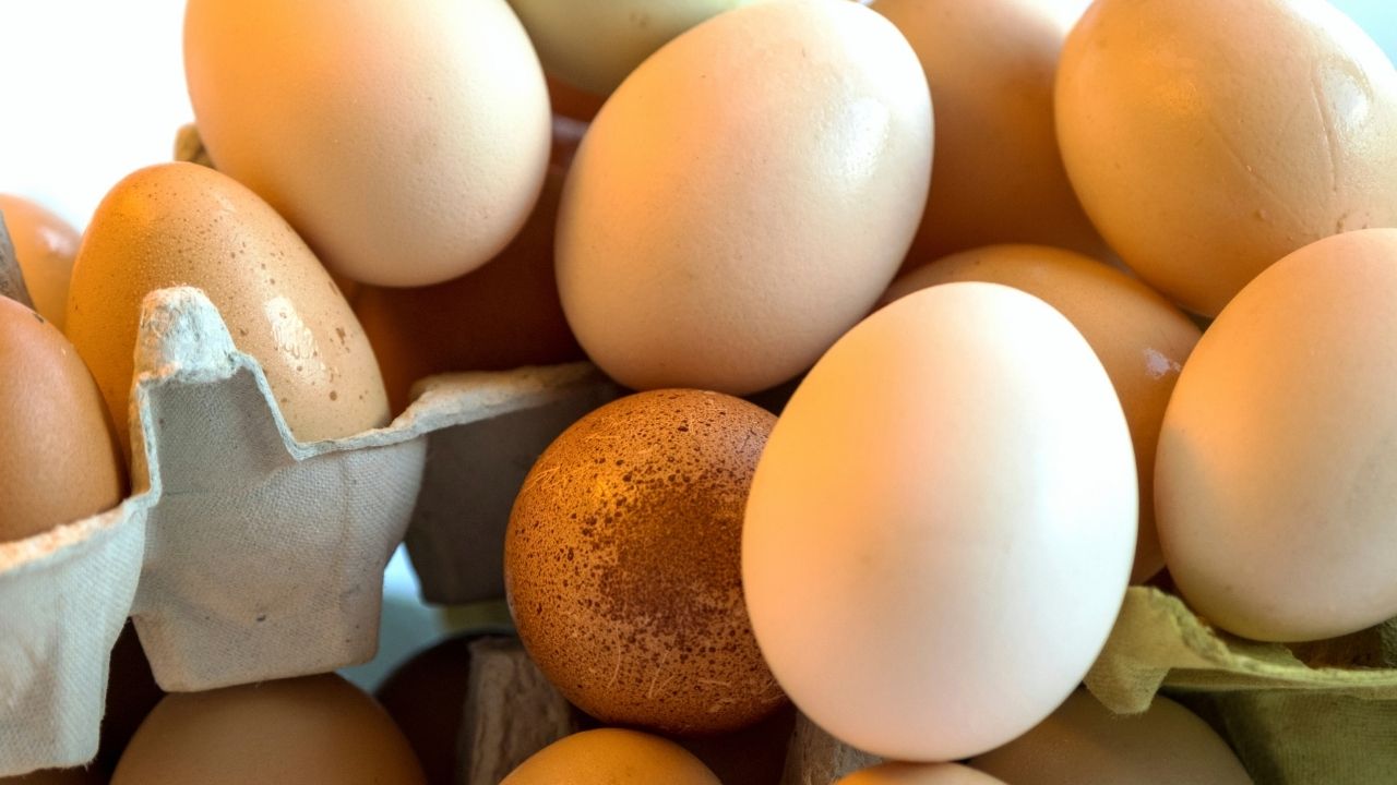 how-much-choline-for-pregnancy