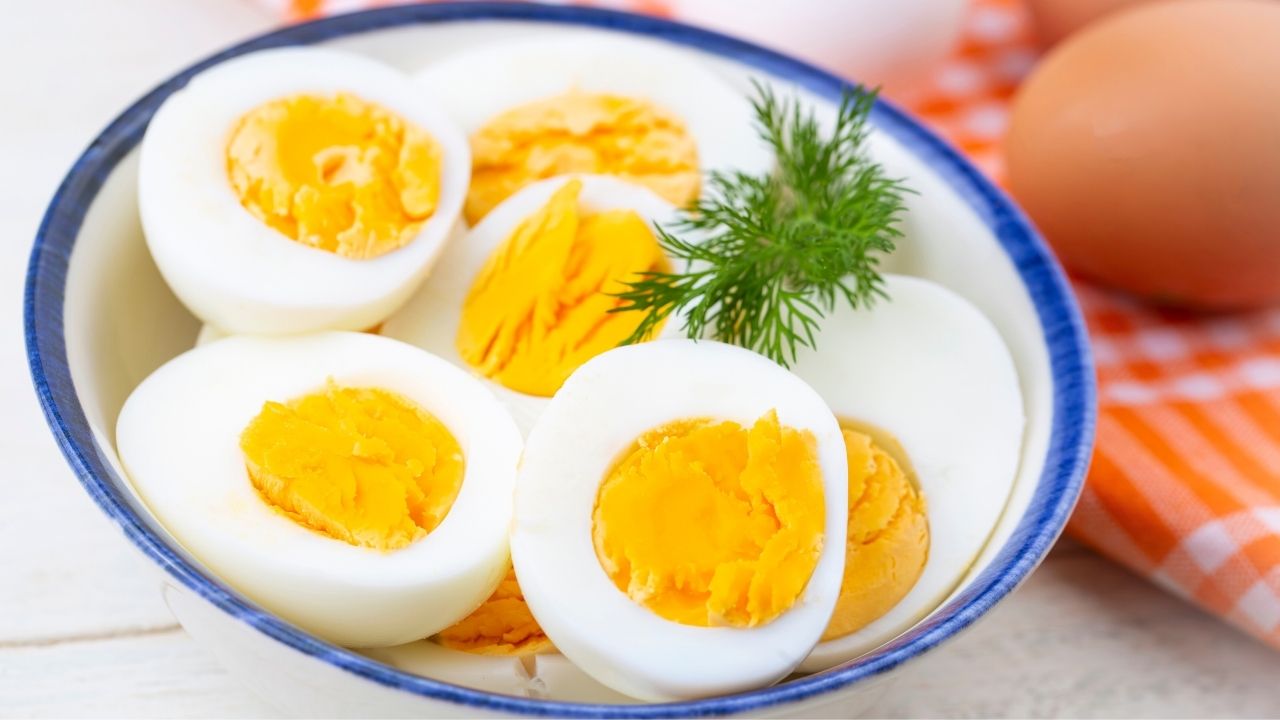 protein-in-4-eggs