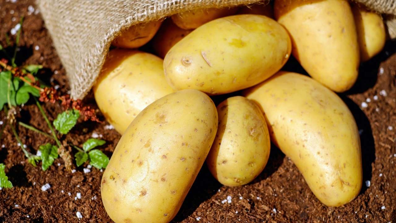 yukon-gold-potato-nutrition