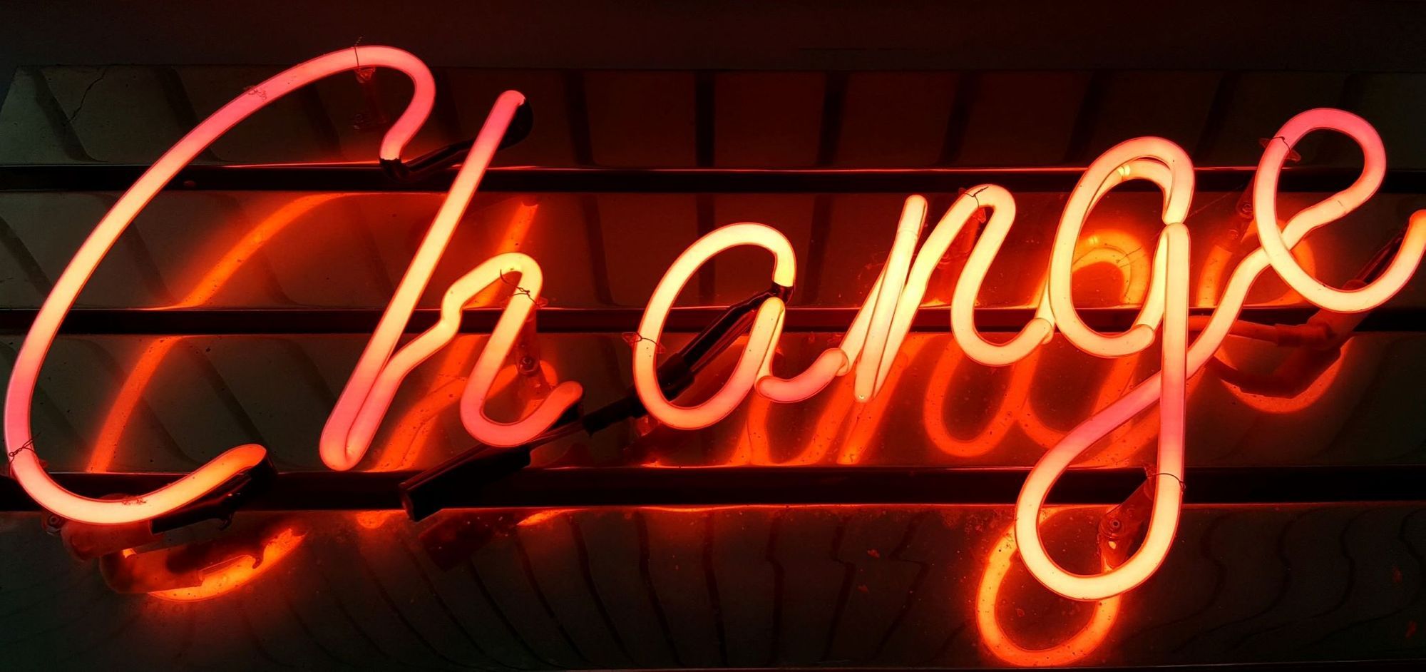 Increase Client Retention and Revenue With Foodzilla