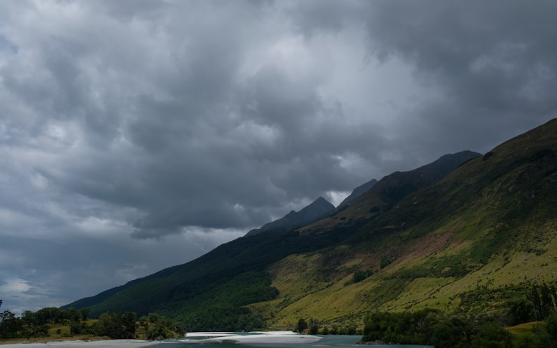 How to Become a Registered Nutritionist in New Zealand (NSNZ Pathway)