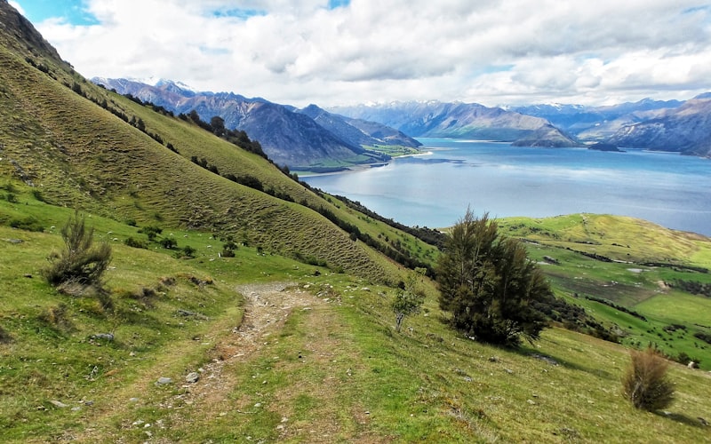 Starting a Nutrition Practice in New Zealand: Complete Guide